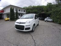 Nuova Fiat Panda S 69 CV (50 kW) 2025 Bianco Utilitaria