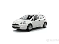 Usata Fiat Punto Lounge 75 CV (55 kW) 2014 Nero Utilitaria