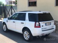 Usata Land Rover Freelander 2 HSE 190 CV (139 kW) 2011 Bianco SUV