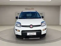 Usata Fiat Panda 4x4 Wild 85 CV (62 kW) 2021 Bianco Utilitaria