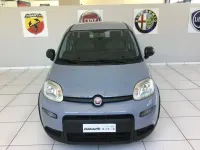 Usata Fiat Panda S 70 CV (51 kW) 2023 Grigio Utilitaria