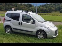 Usata Fiat Sedici Trekking 75 CV (55 kW) 2010 Grigio SUV