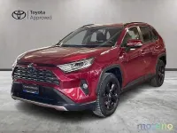 Usata Toyota RAV4 Hybrid Lounge 178 CV (130 kW) 2019 Rosso SUV