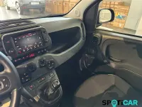 Usata Fiat Panda Cross Cross 71 CV (52 kW) 2023 Grigio Utilitaria