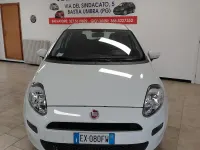 Usata Fiat Punto 69 CV (50 kW) 2014 Bianco Utilitaria