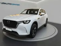 Usata Mazda CX-60 Comfort 192 CV (141 kW) 2022 Other SUV