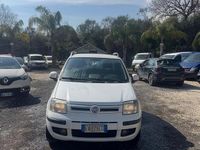 Usata Fiat Panda Dynamic 60 CV (44 kW) 2010 Bianco Utilitaria
