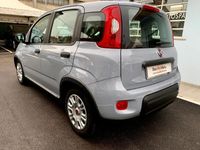 usata Fiat Panda Cross 1.0 FireFly Hybrid City 2022