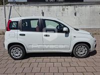 Usata Fiat Panda Easy 74 CV (54 kW) 2013 Bianco Utilitaria