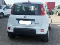 Usata Fiat Panda City Life 69 CV (50 kW) 2023 Bianco gelato Utilitaria