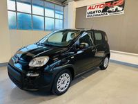 usata Fiat Panda 1.0 70cv Hybrid My24 KM0 "Pronta consegna"