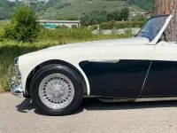 Usata Austin Healey 100/6 1950 Bianco Cabrio