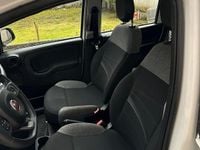 Usata Fiat Panda 4x4 Wild 86 CV (63 kW) 2021 Utilitaria