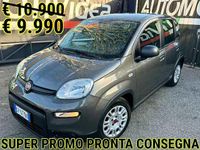 Usata Fiat Panda 69 CV (50 kW) 2023 Grigio Utilitaria