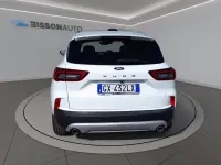 Usata Ford Kuga Titanium 150 CV (110 kW) 2025 Bianco SUV