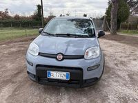 Usata Fiat Panda City Life 69 CV (50 kW) 2022 Grigio Berlina