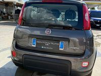 Usata Fiat Panda City Life 70 CV (51 kW) 2022 Grigio Utilitaria