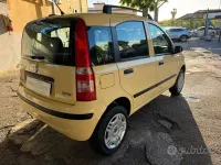 Usata Fiat Panda Dynamic 60 CV (44 kW) 2008 Giallo Utilitaria