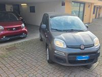 Usata Fiat Panda Pop 69 CV (50 kW) 2019 Grigio Utilitaria
