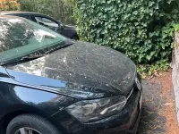 Usata VW Polo 60 CV (44 kW) 2019 Nero Utilitaria