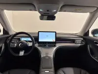 Usata Smart #1 Edition #1 200 kW (272 CV) 2023 Verde SUV