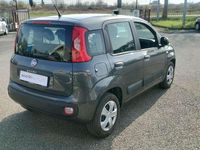 Usata Fiat Panda Lounge 95 CV (69 kW) 2018 Grigio Utilitaria