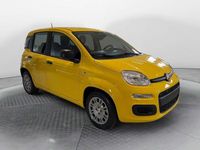 Nuova Fiat Panda Pop 65 CV (47 kW) 2026 Giallo Berlina