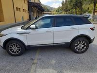 Usata Land Rover Range Rover evoque 150 CV (110 kW) 2013 Bianco SUV