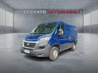 Usata Fiat Ducato 116 CV (85 kW) 2019 Blu Furgone