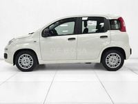 Nuova Fiat Panda Icon 65 CV (47 kW) 2026 Bianco Utilitaria