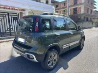 Usata Fiat Panda Cross Cross 95 CV (69 kW) 2016 Verde Utilitaria