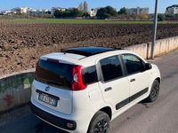 Usata Fiat Panda 85 CV (62 kW) 2013 Utilitaria