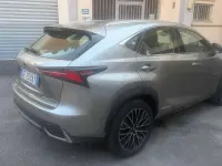 Usata Lexus NX300h Luxury Line 155 CV (114 kW) 2021 Grigio SUV