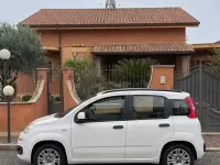 Usata Fiat Panda 2014 Bianco Utilitaria