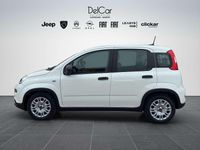 Usata Fiat Panda 69 CV (50 kW) 2023 Bianco Utilitaria