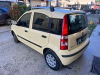 usata Fiat Panda Panda1.2 Dynamic eco