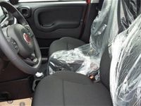 usata Fiat Panda Cross Cross 1.0 FireFly S&S Hybrid nuovo