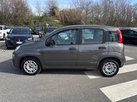 Usata Fiat Panda S 70 CV (51 kW) 2021 Grigio Utilitaria
