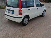 Usata Fiat Panda Emotion 75 CV (55 kW) 2011 Utilitaria