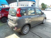 usata Fiat Panda 3ª serie 1.0 FireFly S&S Hybrid