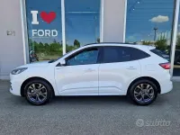 Nuova Ford Kuga ST-Line 151 CV (111 kW) 2025 Bianco SUV