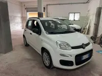 Usata Fiat Panda Easy 69 CV (50 kW) 2018 Other Utilitaria