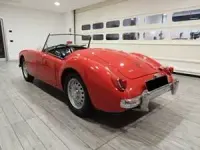 Usata MG Twin Cam 108 CV (79 kW) 1959 Rosso Cabrio