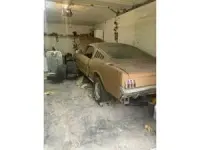 Usata Ford Mustang 203 CV (149 kW) 1965 Marrone Coupé