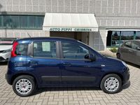 usata Fiat Panda 3ª serie 1.2 Lounge