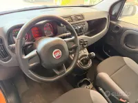 Usata Fiat Panda Easy 69 CV (50 kW) 2018 Arancione Utilitaria