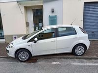 Usata Fiat Punto Lounge 69 CV (50 kW) 2014 Bianco ghiaccio Utilitaria