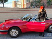 Usata Alfa Romeo Spider 101 CV (74 kW) 1987 Rosso Cabrio