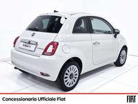 Usata Fiat 500 Dolcevita 70 CV (51 kW) 2023 Bianco Utilitaria
