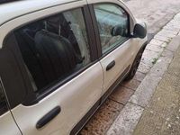 Usata Fiat Panda Cross Cross 69 CV (50 kW) 2022 Bianco Utilitaria
